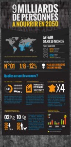Infographie - la faim dans le monde